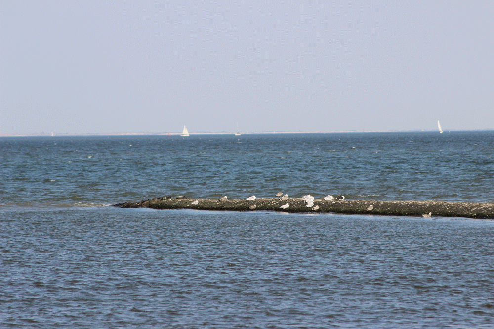 Nessmersiel Wattenmeer