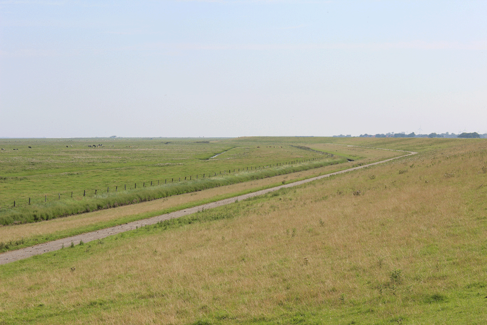 Pilsum Deich und Vorfeld